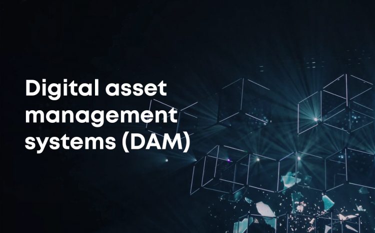 digital-asset-management-systems