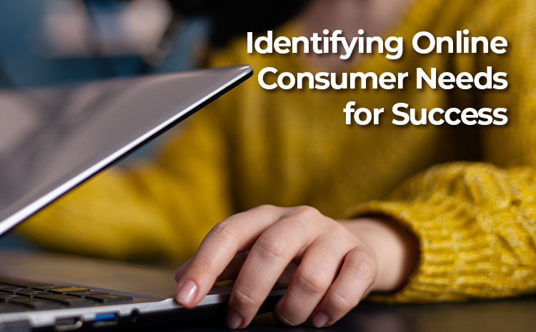 Identifying Online Consumer Needs for Success